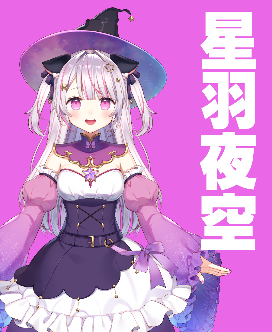 星羽夜空